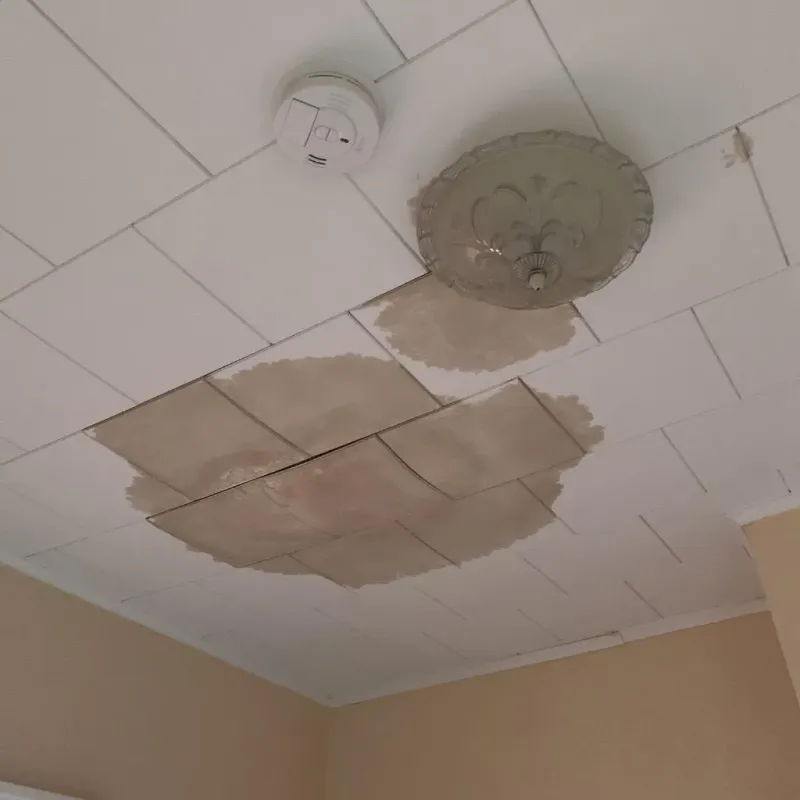 Ceiling Water Damage Repair in Woodhaven, MI