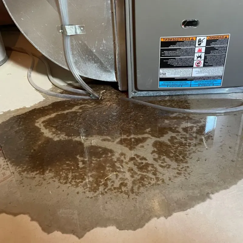Pipe Burst and Leak Restoration in Woodhaven, MI