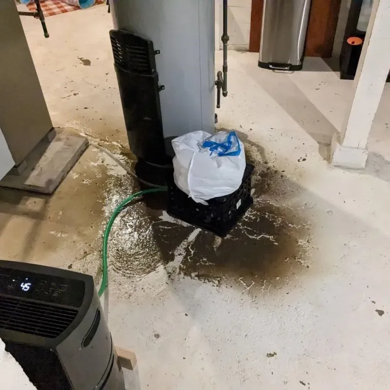 Sewage Backup Cleanup Service in Woodhaven, MI